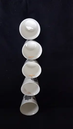 Pols Potten - Freedom Birds bekers kopen? Bied vanaf 50!