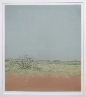 Grietje Postma - Duinlandschap, houtsnede (kleine oplage, netjes ingelijst) kopen? Bied vanaf 250!