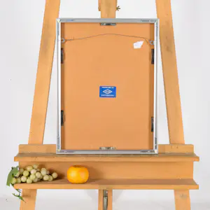 Ton de Kruyk - Kippenhok kopen? Bied vanaf 20!