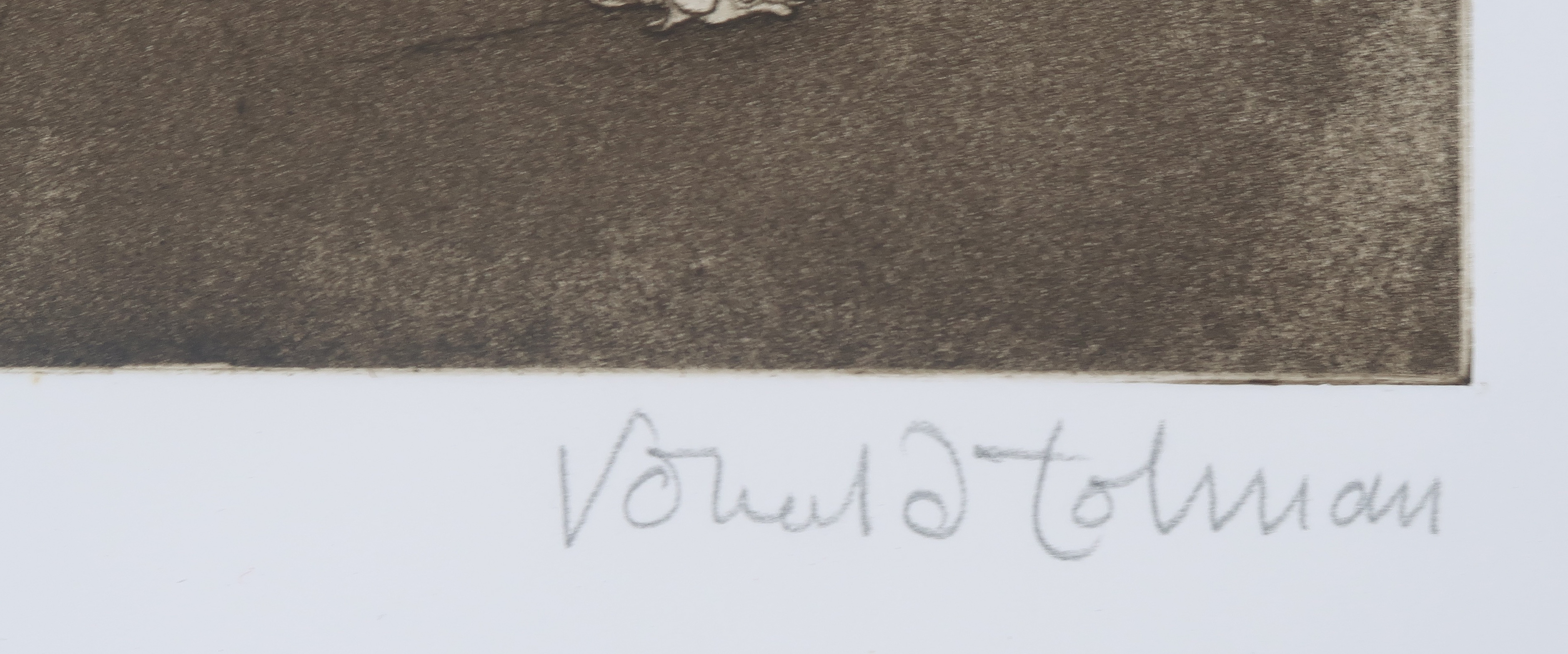 Ronald Tolman - Ets, Zonder titel kopen? Bied vanaf 50!