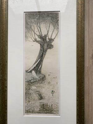 Tjeerd Bottema - Waterland kopen? Bied vanaf 30!