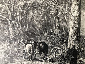 Niet of onleesbaar gesigneerd - Houtbewerkers in het bos kopen? Bied vanaf 1!