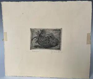 Jeanne Bieruma Oosting - 'Aardbei'. Mooie en zeldzame ets uit 1921! kopen? Bied vanaf 80!