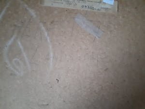 Antoine van der Pas - Herfst landschap kopen? Bied vanaf 20!