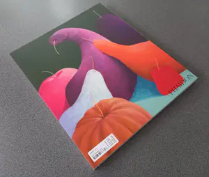 Nicolas Party - Buch Monographie Phaidon Press handsigniert von Nicolas Party kopen? Bied vanaf 109!