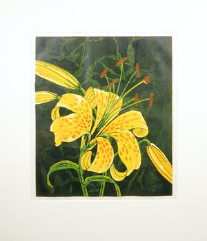 Dianne Bakker - Houtsnede & Linosnede, Lelie I - Ingelijst kopen? Bied vanaf 50!