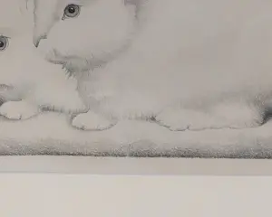 Jan Wittenberg - twee witten konijntjes kopen? Bied vanaf 100!