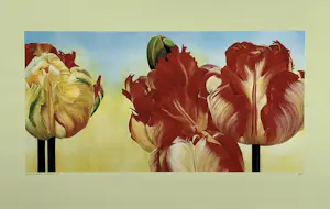 Yvonne Poelstra-Holzhaus - Tulpen in bloei kopen? Bied vanaf 39!