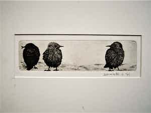 Niet of onleesbaar gesigneerd - Grafisch meesterwerkje - droge naald ETS "Musjes" gesigneerd en gedateerd verkocht voor € 1!