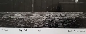 Erik Gigengack - 'flying', foto met gelimiteerde oplage. kopen? Bied vanaf 40!