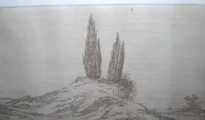 Niet of onleesbaar gesigneerd - jeneverbessen in duinlandschap - fraai uitgewerkte ets ca. 1900 kopen? Bied vanaf 1!