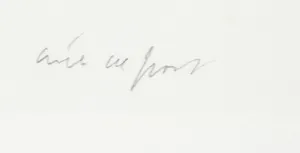 Arie de Groot - Potloodtekening, Zonder titel - Ingelijst kopen? Bied vanaf 70!