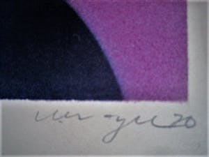 Niet of onleesbaar gesigneerd - gesigneerde, zeer kleine oplage (nr 4 van 20) PoP-Art Litho kopen? Bied vanaf 1!
