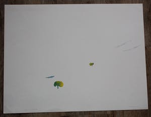 Hans Coumans - Litho - 1971 kopen? Bied vanaf 40!