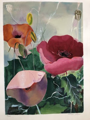 Marjan Jaspers - Klaprozen kopen? Bied vanaf 120!