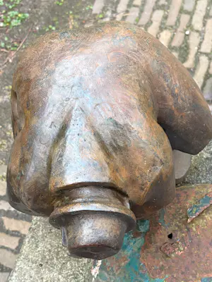 Theo Schreurs - De Schoenveter kopen? Bied vanaf 2795!