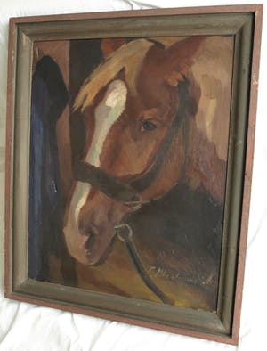 Niet of onleesbaar gesigneerd - Olieverf op doek , “Portret Paard” – gesigneerd & ingelijst kopen? Bied vanaf 10!