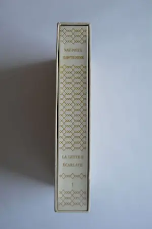 Kees van Dongen - Nathaniel Hawthorne / Kees van Dongen - 'La lettre écarlate' kopen? Bied vanaf 85!