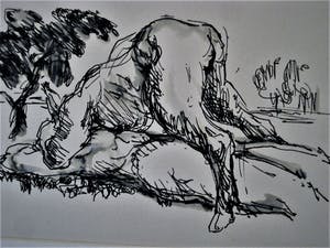 Niet of onleesbaar gesigneerd - Interessante erotische Inkt tekening - niet gesigneerd - in passe partout kopen? Bied vanaf 1!
