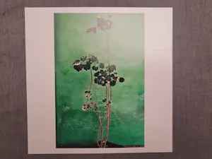 Raghu Rai - Trees - Magnum photos limited edition kopen? Bied vanaf 250!