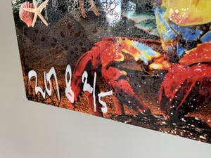 Jack Liemburg - "The world in my hands" kopen? Bied vanaf 1849!