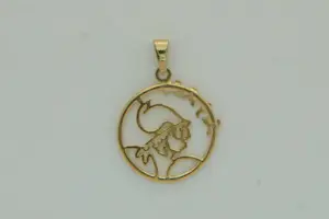 30 - Mooi gedetailleerde 14Karaats geel- gouden Ajax hanger  - gekeurd kopen? Bied vanaf 75!