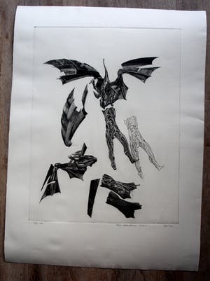 Gerti Bierenbroodspot - kleurenets: gevallen engel - 1973 kopen? Bied vanaf 75!