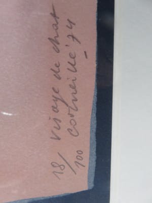 Corneille - Visage de Chat kopen? Bied vanaf 250!