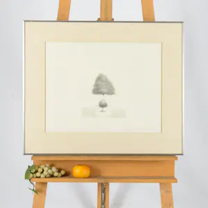 Metten Koornstra - Boom kopen? Bied vanaf 40!