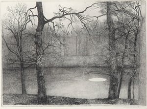 Charles Donker - Ets, De Futen - Ingelijst kopen? Bied vanaf 200!