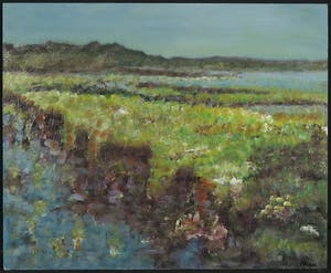 Pieter Haan - Acryl op board, Lot van vier voorstellingen in thema landschap kopen? Bied vanaf 1!