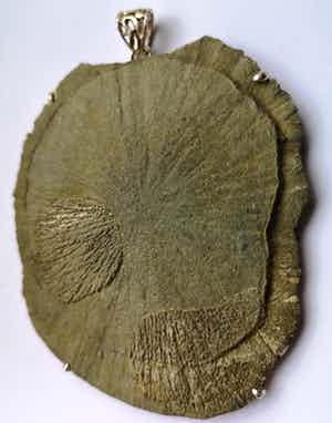 Niet of onleesbaar gesigneerd - Zilveren hanger met pyrietzon verkocht voor € 10!