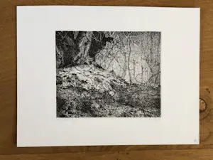 Reinder Homan - Wilgenbos kopen? Bied vanaf 50!