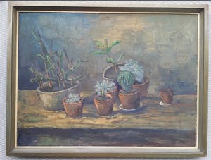 Leo Johannes van Gemert - Stilleven met cactussen en vetplanten. kopen? Bied vanaf 1!