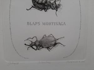 Gerard van Rooy - Keldertor kopen? Bied vanaf 75!