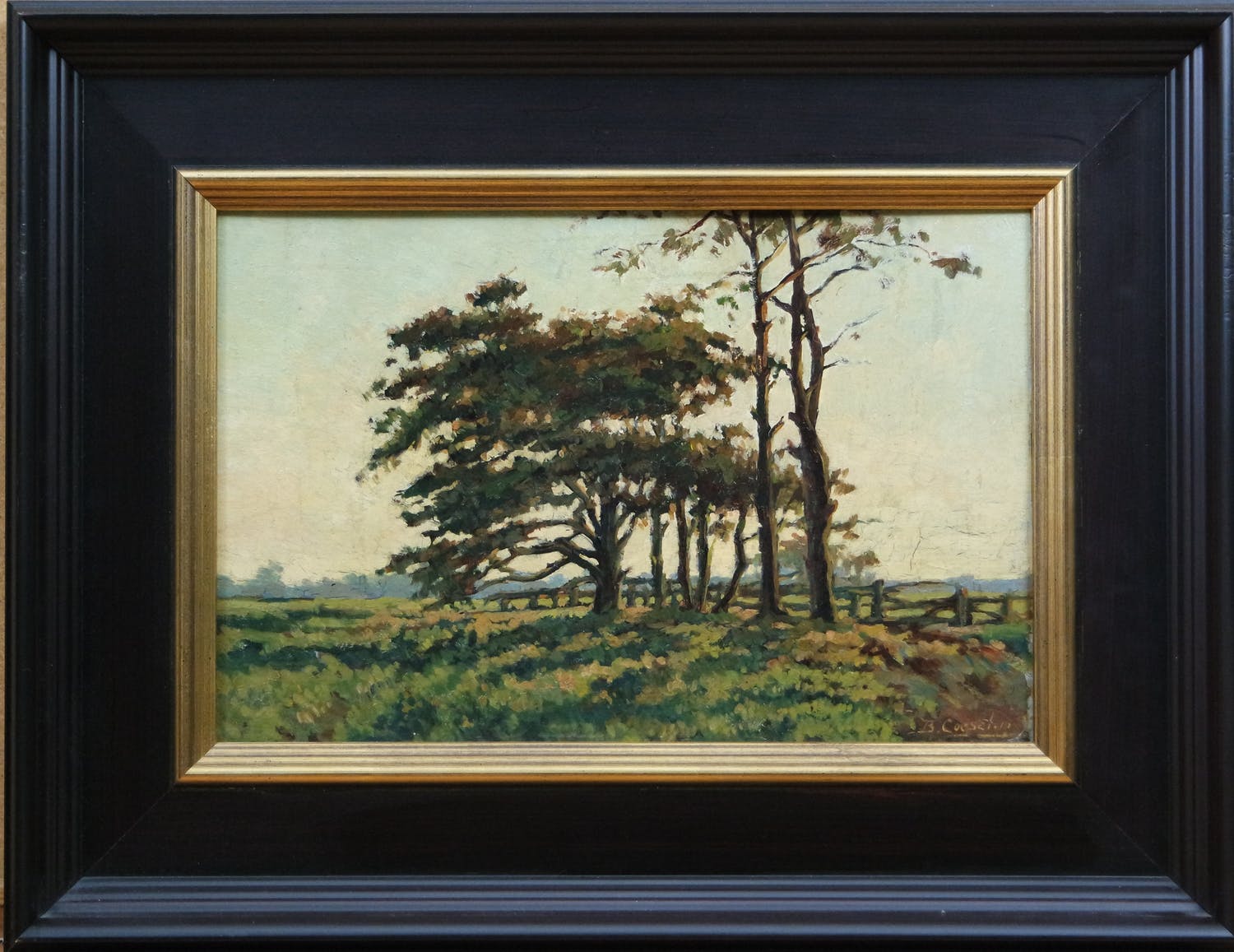 Bernardus Franciscus Coesel (1886-1952)
