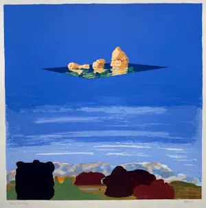 Rien Bout - Paisaje Flotante kopen? Bied vanaf 55!