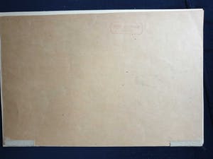 Ger Langeweg - Uitvaart van de haan kopen? Bied vanaf 60!