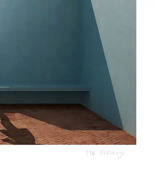 Mr Strange - The Explorer kopen? Bied vanaf 80!