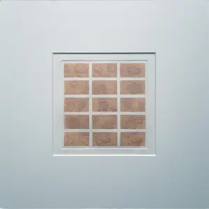 Thomas Ankum - Fotopolymeerets in passe-partout - 25711 kopen? Bied vanaf 75!