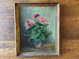 Felicien Bobeldijk - Bloemen in Vaas kopen? Bied vanaf 50!