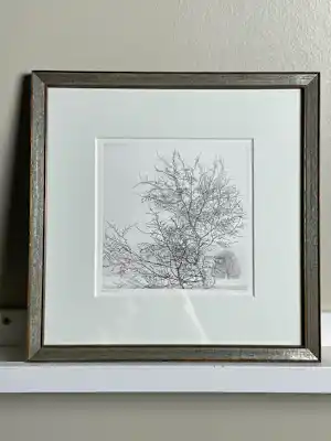 Reinder Homan - Bomen vendu pour 65€ !