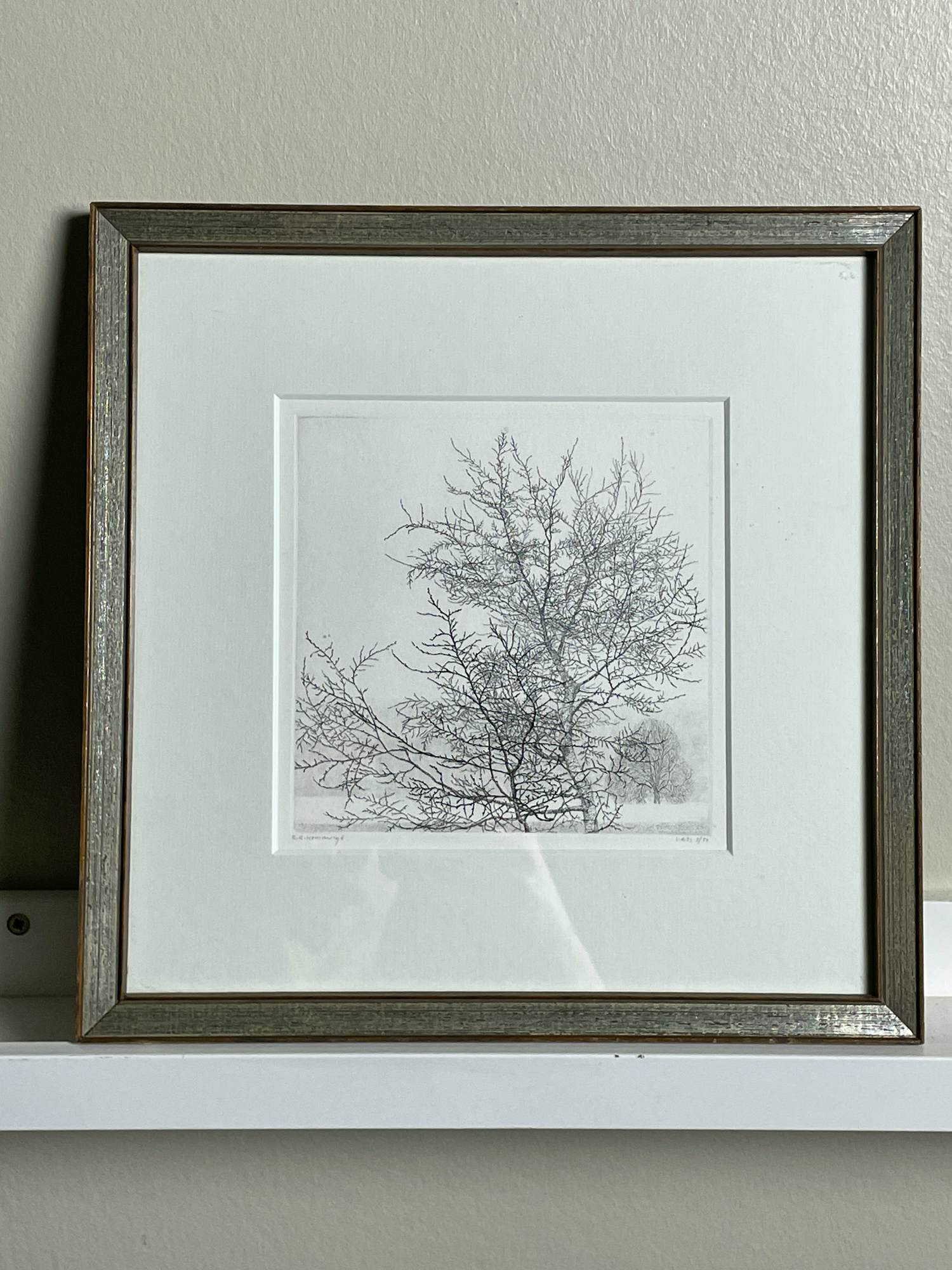 Reinder Homan - Bomen kopen? Bied vanaf 75!