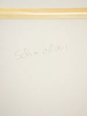 Mattie Schilders - Vormende hand van Evolutie kopen? Bied vanaf 1!