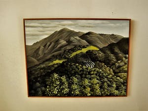 Erna van Mondfrans - Verstild realistisch olieverf "Montagne Aix En Provence Landschap" gesigneerd kopen? Bied vanaf 30!