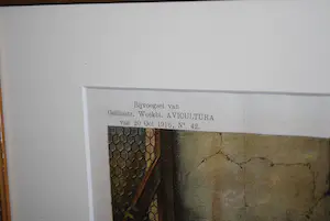 Otto Eerelman - St Bernard met jongen - kleurenlitho 1916 - fraai ingelijst kopen? Bied vanaf 45!