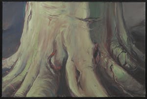 Wim de Bruin - Acryl op doek, Boomvoet kopen? Bied vanaf 50!