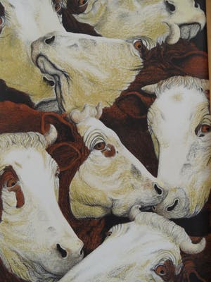 Carolein Smit - Carolien Smit kopen? Bied vanaf 100!