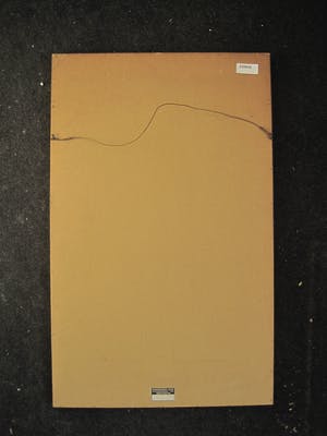 Jan Veringa - "Meester van het Coulissenperspectief" - grote Houtsnede - kleine oplage - gesig kopen? Bied vanaf 26!