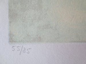 Nicole Schaap - coucher du soleil kopen? Bied vanaf 55!